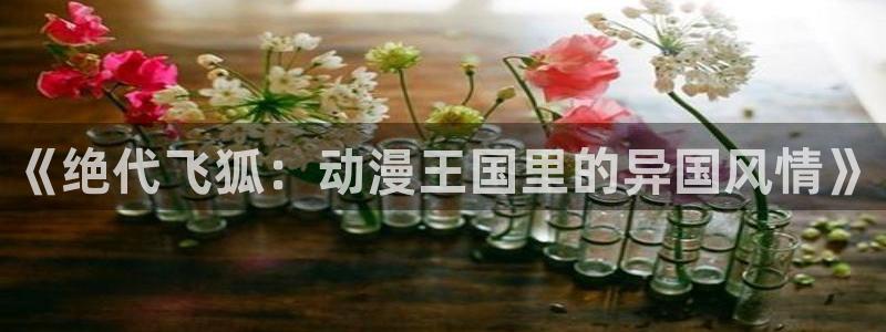 动漫里番剧大全
