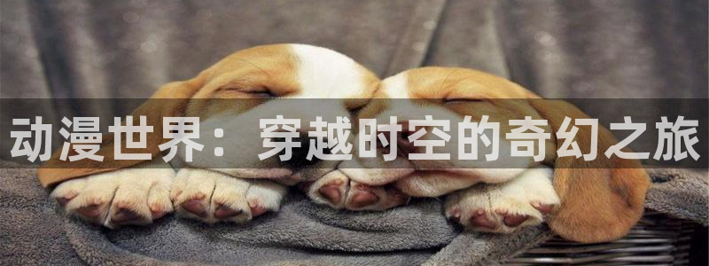 肉里番动漫