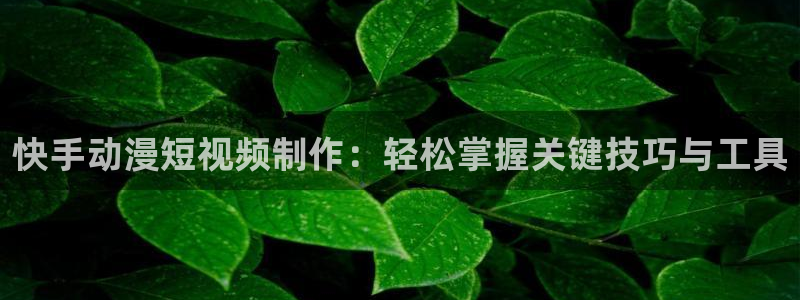 里番动漫哪找：快手动漫短视频制作：轻松掌握关键技巧与工具