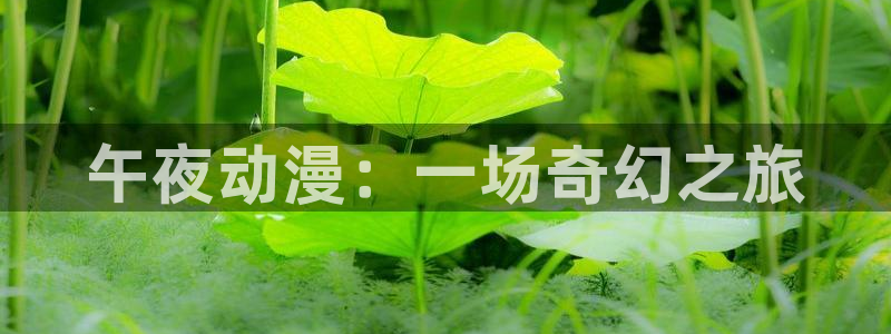 里番推荐：午夜动漫：一场奇幻之旅