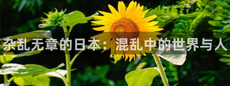 里番库漫画：杂乱无章的日本：混乱中的世界与人