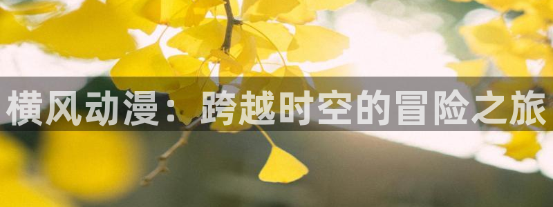 2026里番动漫：横风动漫：跨越时空的冒险之旅