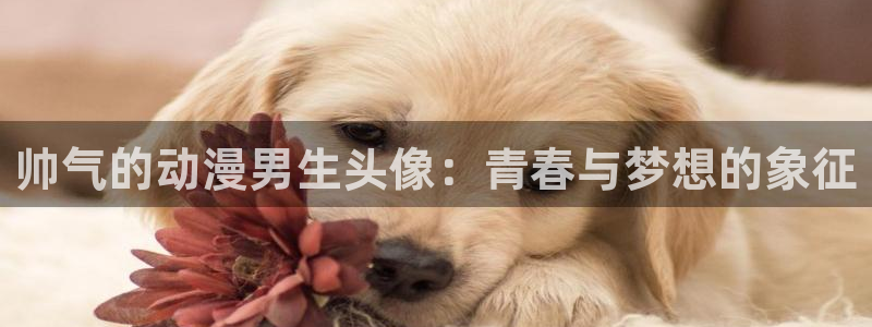 里番美女漫画：帅气的动漫男生头像：青春与梦想的象征