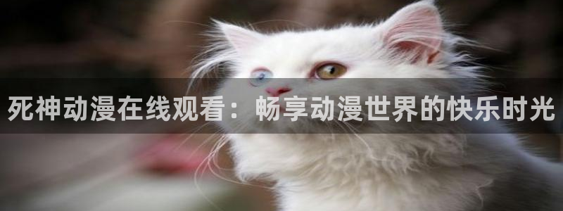 里番动漫入口：死神动漫在线观看：畅享动漫世界的快乐时光