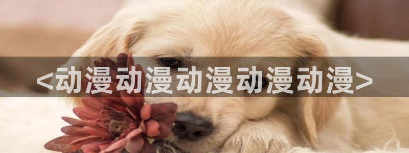动漫里番有那些：<动漫动漫动漫动漫动漫>