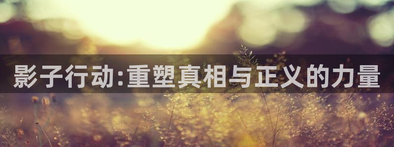 里番少女漫画大全：影子行动:重塑真相与正义的力量