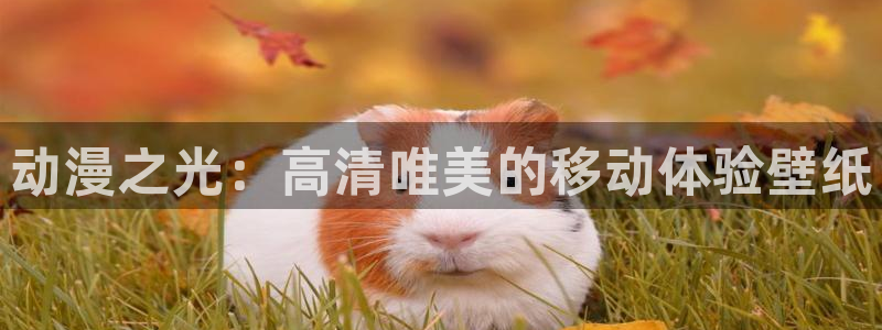 漫画全彩本子里番漫画：动漫之光：高清唯美的移动体验壁纸