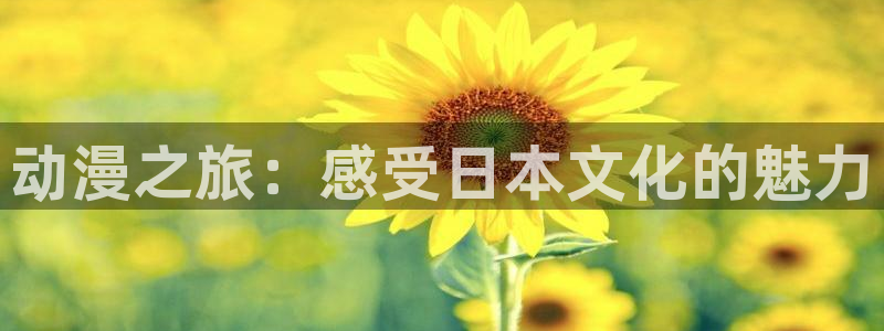 里番h动漫在线观看：动漫之旅：感受日本文化的魅力