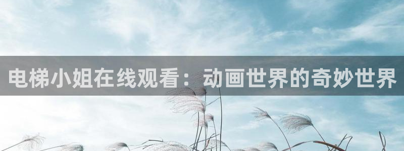 里番工口全彩漫画：电梯小姐在线观看：动画世界的奇妙世界