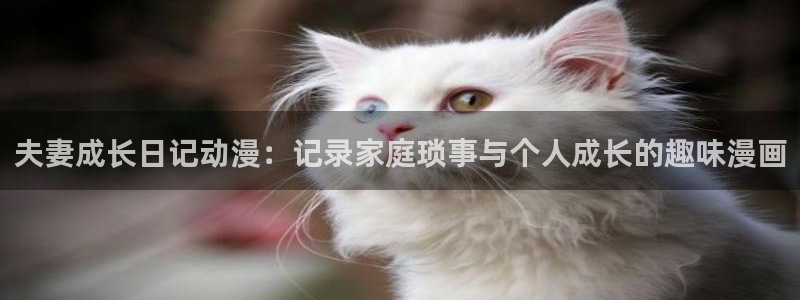 里番库漫画在线：夫妻成长日记动漫：记录家庭琐事与个人成长的趣味漫画