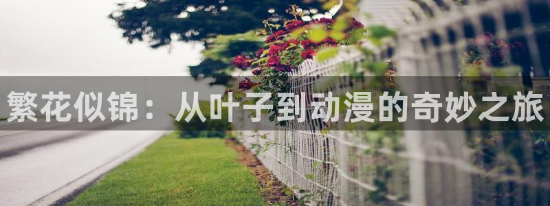 旧里番动画