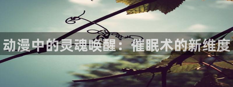 2026年里番动漫