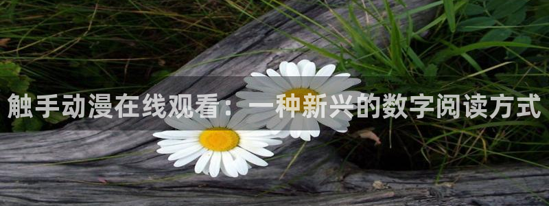 里番动漫名称