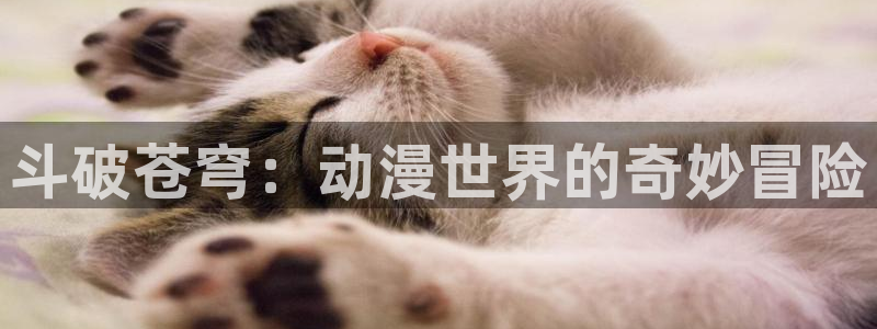 里番动漫免费网站