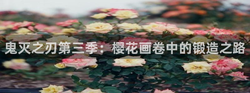 里番动漫伦理片