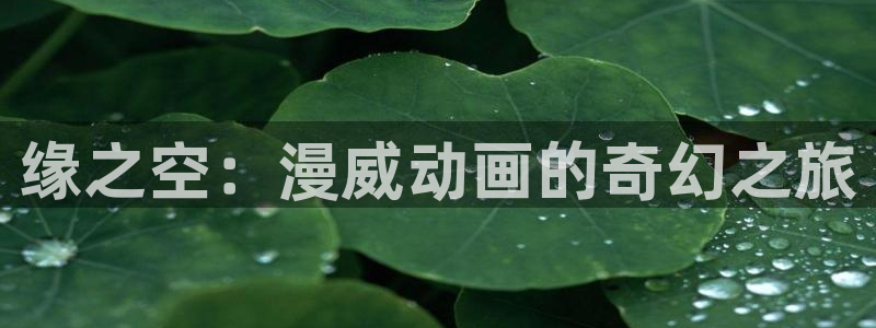 动漫里番网在线观看