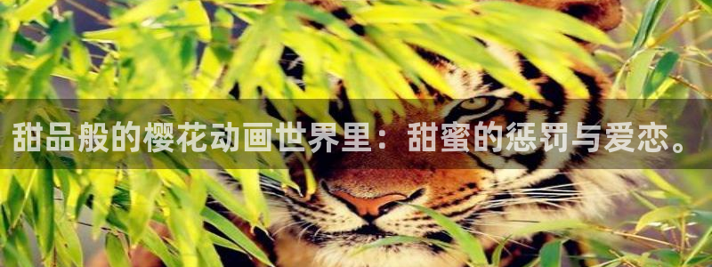 动漫网里番