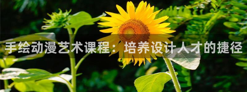 里番动漫18+：手绘动漫艺术课程：培养设计人才的捷径