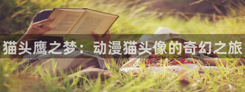 里番漫画免费在线：猫头鹰之梦：动漫猫头像的奇幻之旅