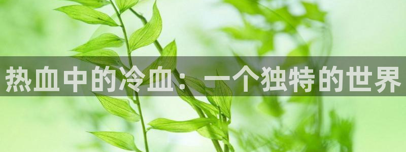 3d里番动漫在线网站：热血中的冷血：一个独特的世界