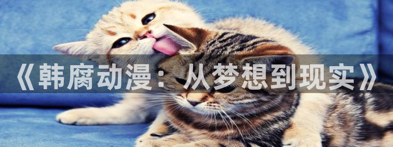 里番全彩少女本子漫画：《韩腐动漫：从梦想到现实》