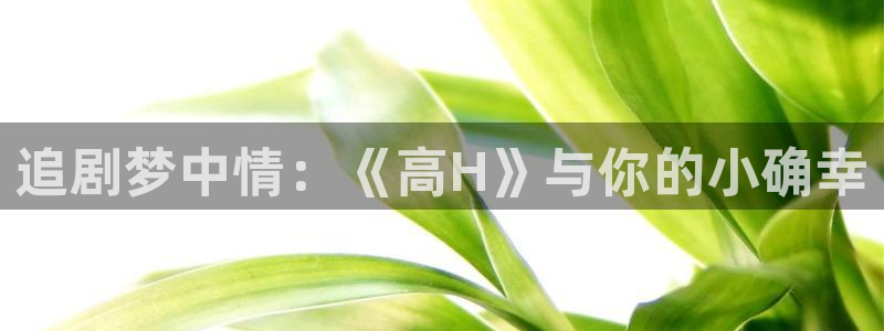 禁漫里番：追剧梦中情：《高H》与你的小确幸