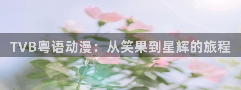 漫画里番本子库：TVB粤语动漫：从笑果到星辉的旅程