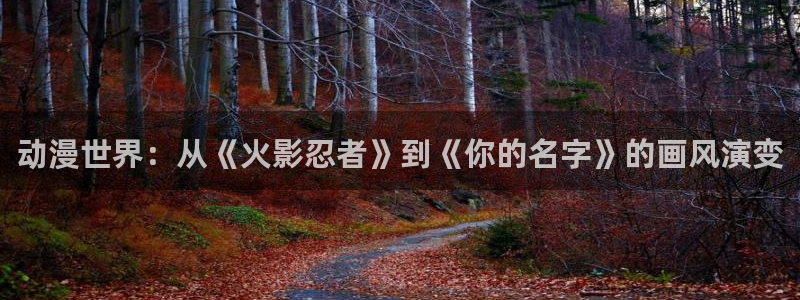里番在线漫画：动漫世界：从《火影忍者》到《你的名字》的画风演变